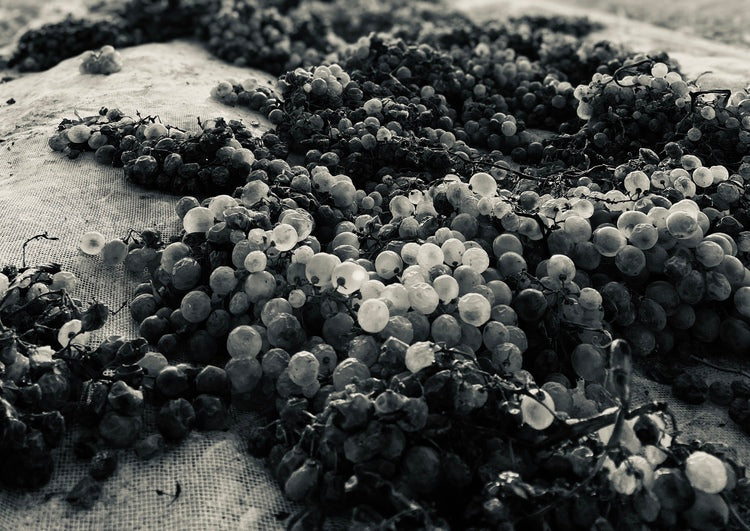 
                  "Cosecha" y "Battonage", vino y perfume de nuestras uvas en vendimia...
                